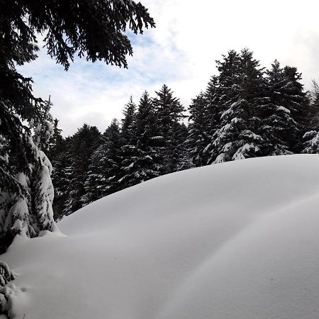 Апартаменты Pyrenees - Le Nid D'Ax Акс-ле-Терм Экстерьер фото